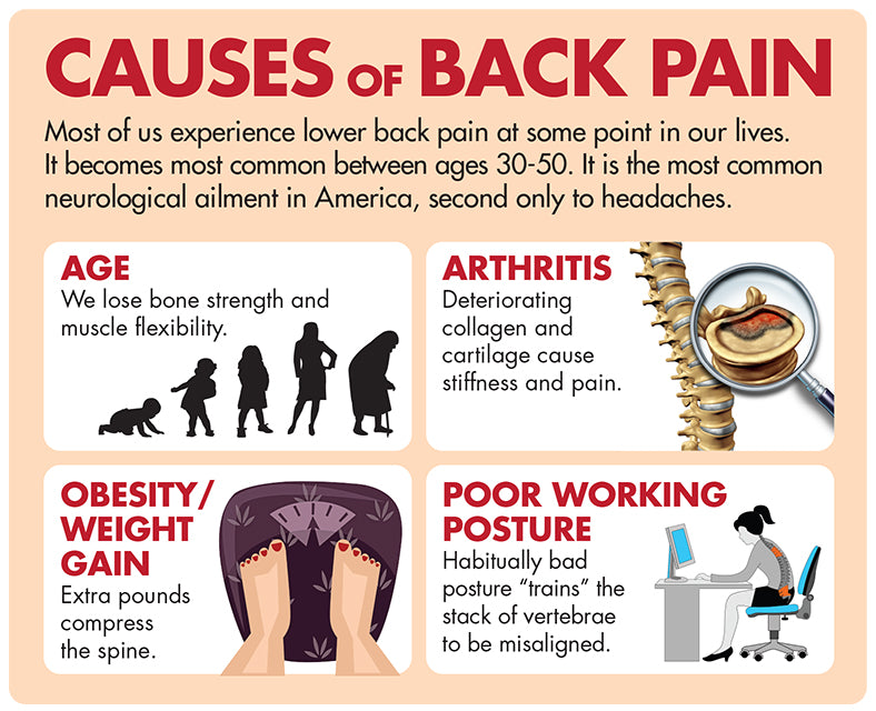 Infographic: Reducing Low Back Pain at Work