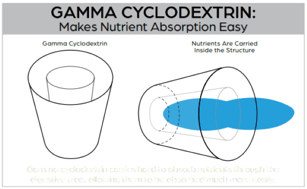 Gamma Cyclodextrin: Helping Nutrients Reach Their Full Potential